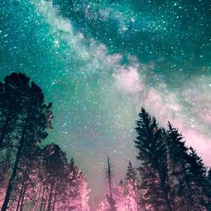 Meet your Posher, Kali